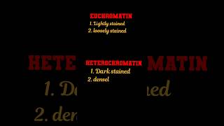 difference between euchromatin and heterochromatin l biology [upl. by Enylhsa]