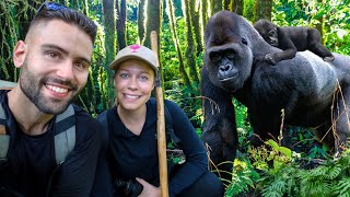 Incredible Encounter with Mountain Gorillas in Uganda [upl. by Nate630]