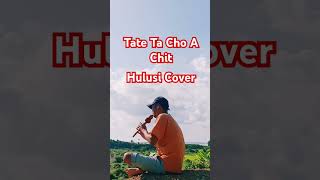 Tate Ta Kho A Chit Wine Su Khine Theinတိတ်တခိုးအချစ်  ဝိုင်းစုခိုင်သိန်း fypシ゚viral [upl. by Wycoff]