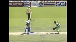 Sweet sweep by Arjuna Superb Arjuna Ranatunga six vs Pakistan Adelaide Oval ODI 198990 [upl. by Kerstin]