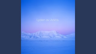 Lyden av Arktis VI Hymne til det urørte Hymn to the Untouched [upl. by Itirahc]