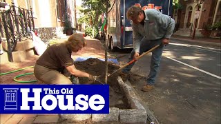 How to Plant a City Street Tree  This Old House [upl. by Dalis]