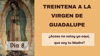 Treintena a la Virgen de Guadalupe 🌹 Día 8 ¡Haz tu petición [upl. by Harwill985]