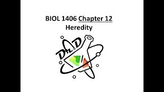 Chapter 12 Heredity [upl. by Edik293]