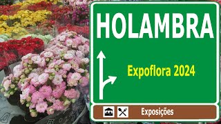 Passeio a Holambra  Expoflora [upl. by Ellehcan144]