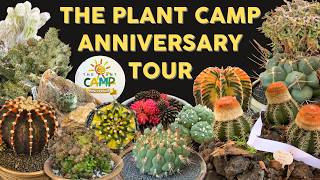 Discover Unique Cacti Succulents and Euphorbias at The Plant Camp 1st Anniversary Tour [upl. by Meg204]