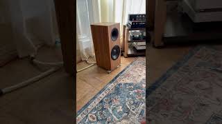 HiFi Changes Again HiFi Room Setup audiophile short [upl. by Larrisa]