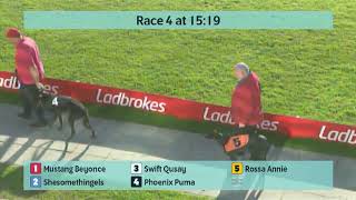 Crayford Greyhounds Races on 24th October 2024 [upl. by Ardnos167]