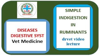 Simple indigestion in ruminants [upl. by Tacy]