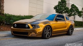 Pure Gold Mustang GT [upl. by Thar78]