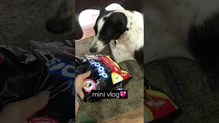 Dog food💖Drools puppy nutritionBulbul varshney vlogs dogfood drools minivlog viralshorts [upl. by Warfold]