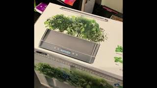 My new Aerogarden  Harvest elite slim unboxing [upl. by Ecnerrot]