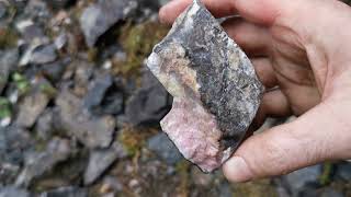 Rhodonite  Cowichan Lake Vancouver Island BC  Rockhounding [upl. by Yrallam26]