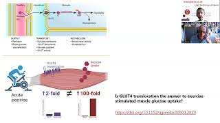 Podcast with Prof Erik Richter  Exercise GLUT4 and skeletal muscle glucose uptake [upl. by Siraved]