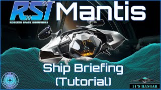 Star Citizen RSI Mantis Ship Briefing Tutorial VR [upl. by Kalle]