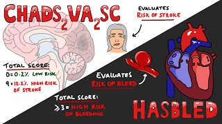 CHADSVASC vs HASBLED  Total Scores amp Interpretation What do they mean [upl. by Lenoyl]