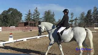 240D Layla Meyers on Psurprise JR Beginner Novice Dressage Woodside October 2024 [upl. by Aneehta]