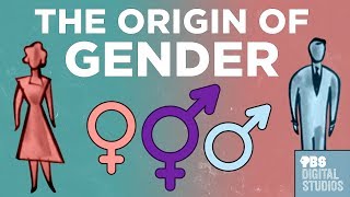 The Origin of Gender [upl. by Sedgewinn]