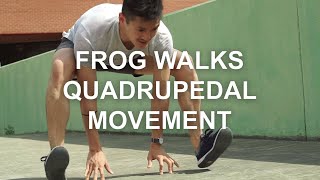 Frog Quadrupedal Movement [upl. by Enavi]