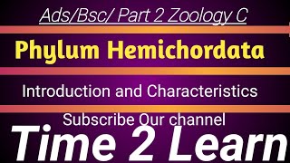 General characteristics of Phylum Hemichordata Time 2 Learn [upl. by Garibald]