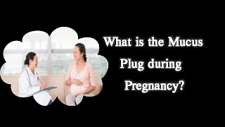 What is the Mucus Plug during Pregnancy [upl. by Hannan]