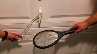 Spider vs Cricket vs Electric Fly Swatter [upl. by Thorma]