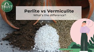 Perlite vs Vermiculite Why and When to use [upl. by Dnyletak]