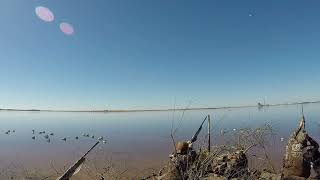 Dropped both of the greenheads BLIND [upl. by Thelma698]