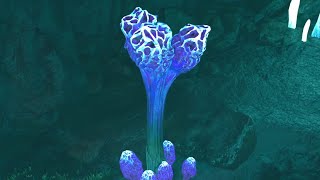 Exquisite Sage Mushroom Location  Avatar Frontiers of Pandora [upl. by Alicec]