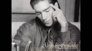 Alejandro Fernandez  Yo nací para amarte [upl. by Francisco250]