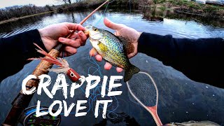 Fly Fishing for Crappie using a Popper Fly [upl. by Llirret291]