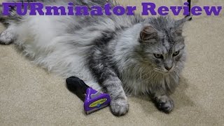 FURminator Review Video with Sean Coonery [upl. by Burkhardt]