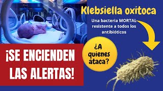 ¡AGÁRRENSE FUERTE LOS MUERTOS POR KLEBSIELLA OXYTOCA ENCIENDEN LAS ALERTAS EN TODO EL MUNDO [upl. by Euginomod]