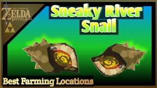 Sneaky River Snail Farming Locations  The Legend of Zelda Breath of The Wild [upl. by Asial]