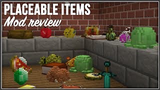 Minecraft  Placeable Items Mod Review  110 [upl. by Nnaycart637]