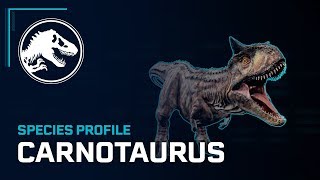 Species Profile  Carnotaurus [upl. by Ysabel]