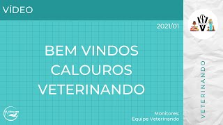 Bem vindos calouros do Veterinando 20211 [upl. by Ainirtak]