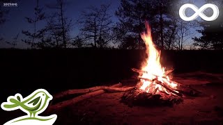 Relaxing Music amp Campfire • Relaxing Guitar Music Soothing Music Calm Music [upl. by Shaylyn226]