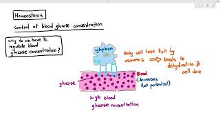 149 Introduction to Blood Glucose Concentration Cambridge AS A Level Biology 9700 [upl. by Teagan600]