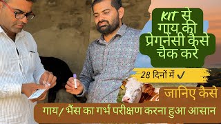 Bovine pregnancy test kit गाय का गर्भ कैसे चैक करें। [upl. by Dukie855]