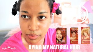 Ginger Blonde and Copper Hair Dye Crème of Nature and Clairol [upl. by Adla]