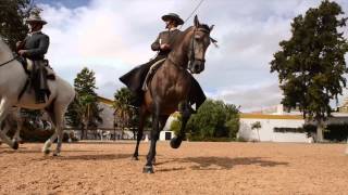 Royal Andalusian School of Equestrian Art [upl. by Madeline]