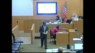 Jodi Arias Penalty Retrial  Day 30  State Rebuttal  Dr Janeen DeMarte [upl. by Dibbrun]