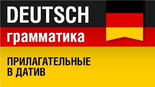 Прилагательные в датив Adjektive im Dativ Немецкая грамматика Урок 1431 Елена Шипилова [upl. by Hetty]