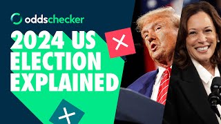 2024 US Election Explained [upl. by Syxela252]