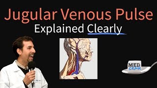 Jugular Venous Pulse JVP Explained Clearly  Evaluation Waveforms Interpretation [upl. by Ainez]