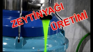 Zeytinyağı Fabrikası Zeytinyağı nasıl yapılır [upl. by Ttenaej]