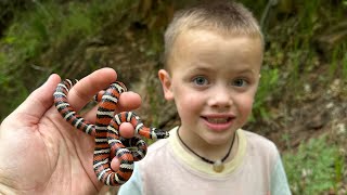 Utah Herping 2023 My Sons First Tricolor Snakes [upl. by Langelo]