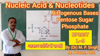 Nucleic acid amp Nucleotides  Intro Definition  DNA RNA  Biomolecule  Biochemistry  BP203T  L9 [upl. by Flagler225]