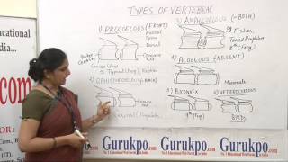 Types of vertebrae lectureBscMsc by priyanka khan [upl. by Ern]